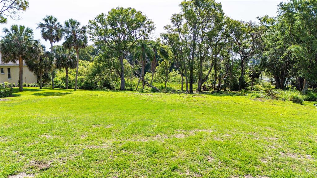 A grassy, vacant lot is bordered by a line of mature trees and palm trees — 12920 VENTANA CT, DADE CITY, FL