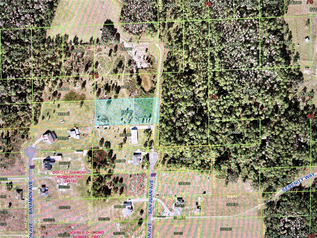 This is an aerial map showing property parcel lines and road layouts in a wooded area — SAN JUAN AVE, POLK CITY, FL