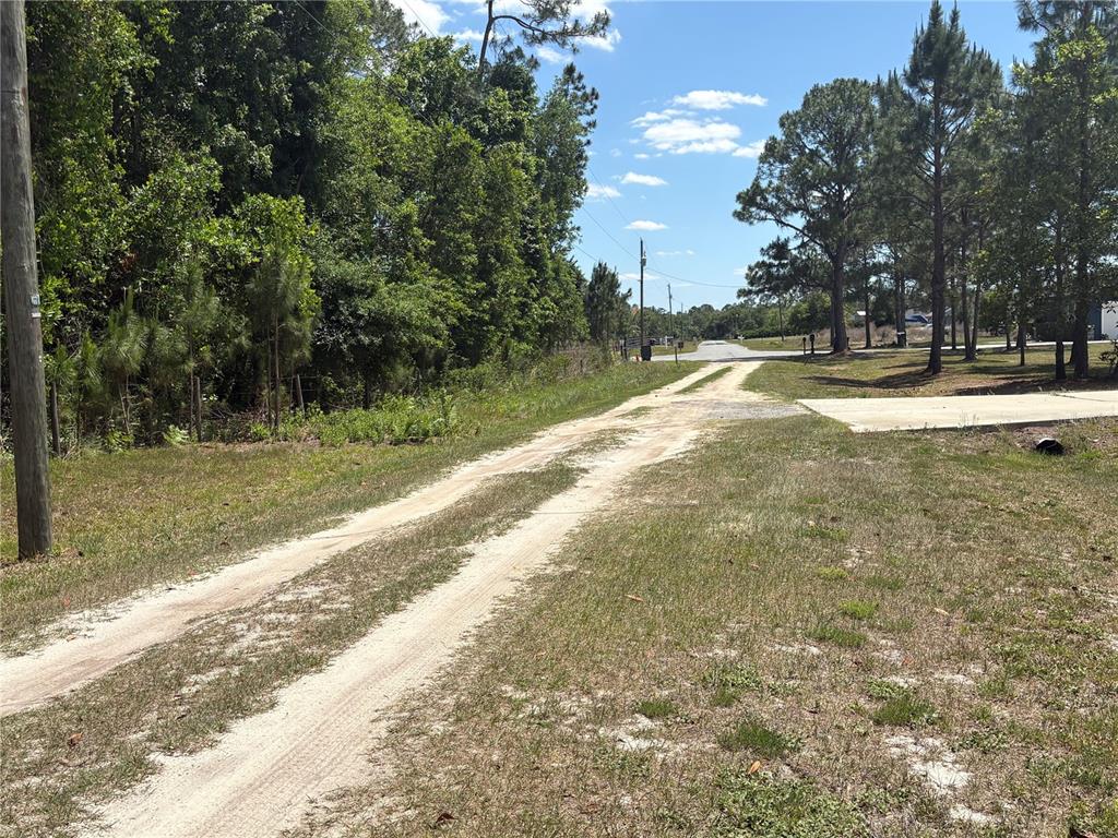 A dirt driveway leads from a paved road toward a wooded area — SAN JUAN AVE, POLK CITY, FL