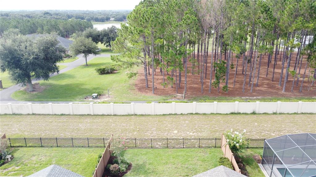 An elevated view shows a backyard with a pool enclosure, a fence, and a pine forest — 372 ALCOVE DRIVE, GROVELAND, FL