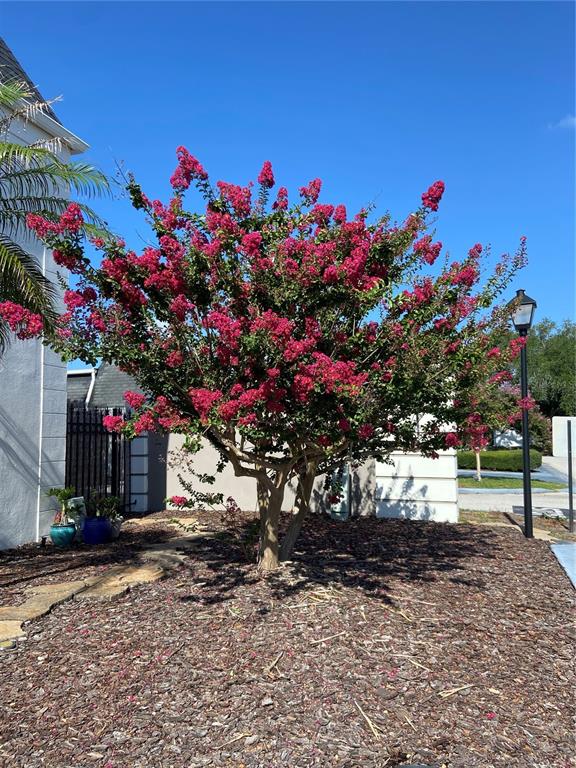 2074 COUNTRYSIDE CIRCLE S, ORLANDO, FL — photo 2 of 21