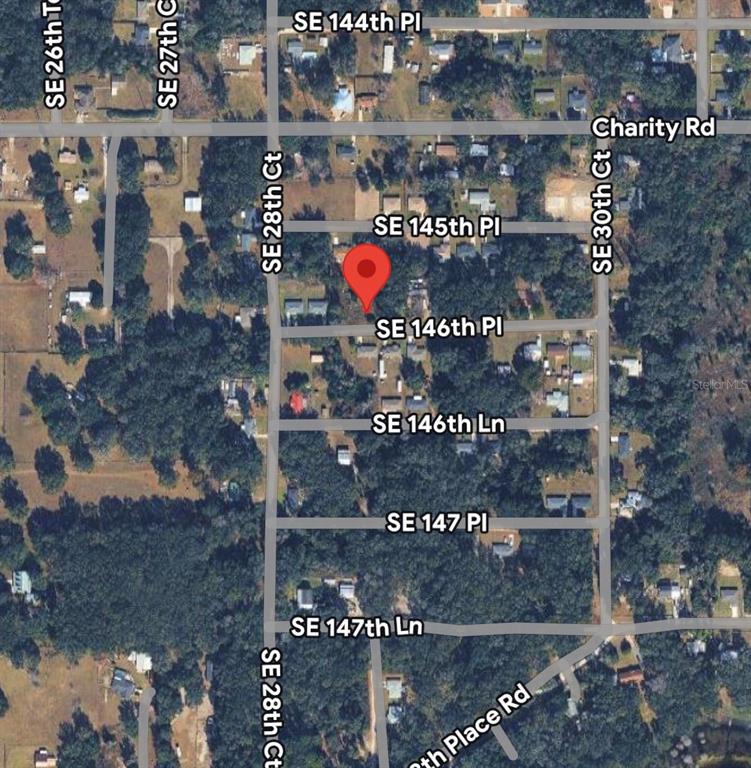 SE 146TH PLACE, BELLEVIEW, FL — photo 3 of 4