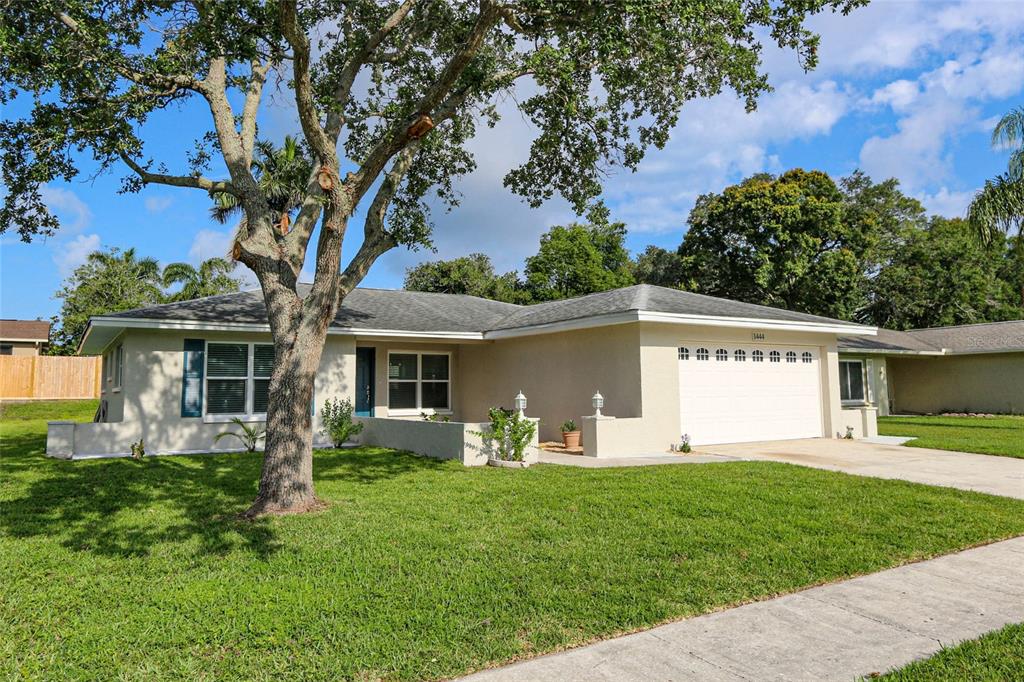A single-story house with a beige stucco exterior, a two-car garage, and a large tree — 1444 OVERCASH DRIVE, DUNEDIN, FL
