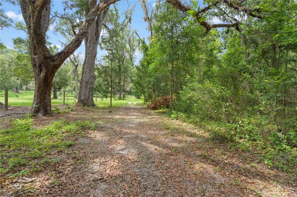 A single-story house with light siding sits on a grassy lot with trees — 151 NE 164TH AVENUE, WILLISTON, FL