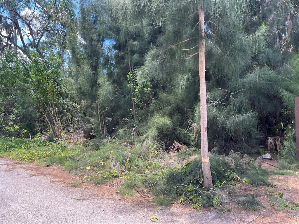 LEGION DRIVE, TARPON SPRINGS, FL — photo 3 of 38