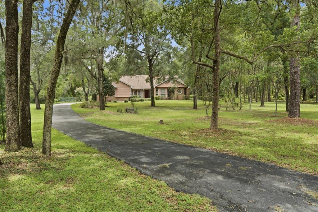 A long asphalt driveway leads to a single-story house surrounded by many large, mature trees — 2705 W LIVE OAK STREET, LECANTO, FL