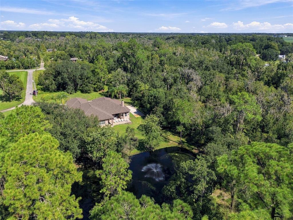13887 GAVIN ROAD, DOVER, FL — photo 4 of 96