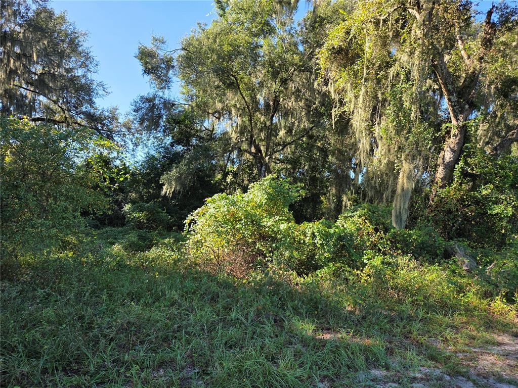 6605 SE 55TH AVENUE, CENTER HILL, FL — photo 2 of 5