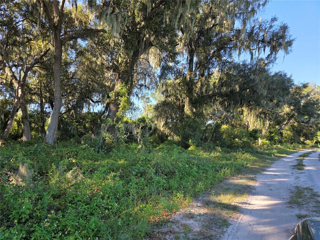 6605 SE 55TH AVENUE, CENTER HILL, FL — photo 3 of 5