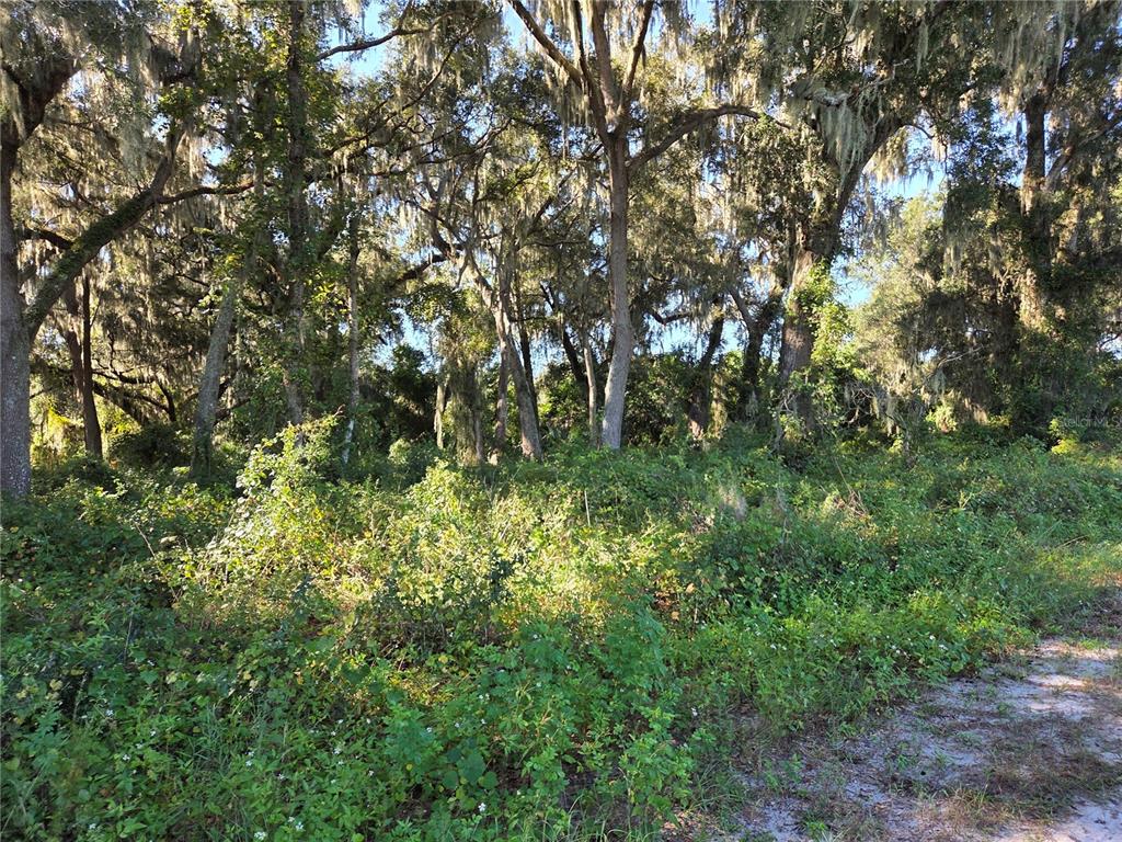6605 SE 55TH AVENUE, CENTER HILL, FL — photo 4 of 5