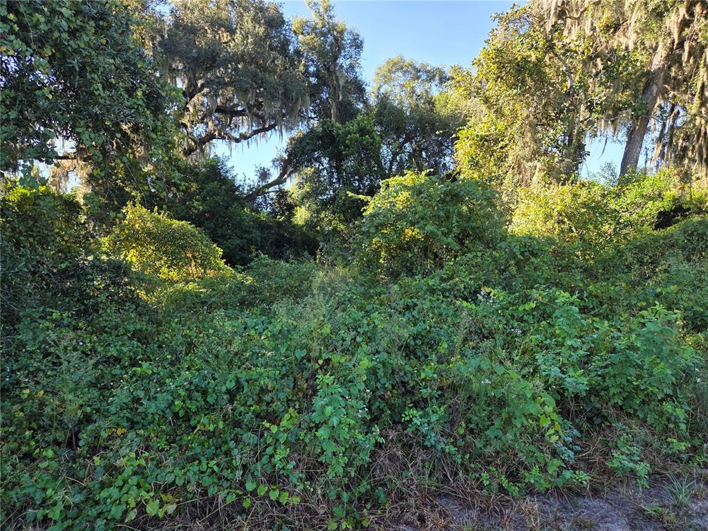 6605 SE 55TH AVENUE, CENTER HILL, FL — photo 5 of 5