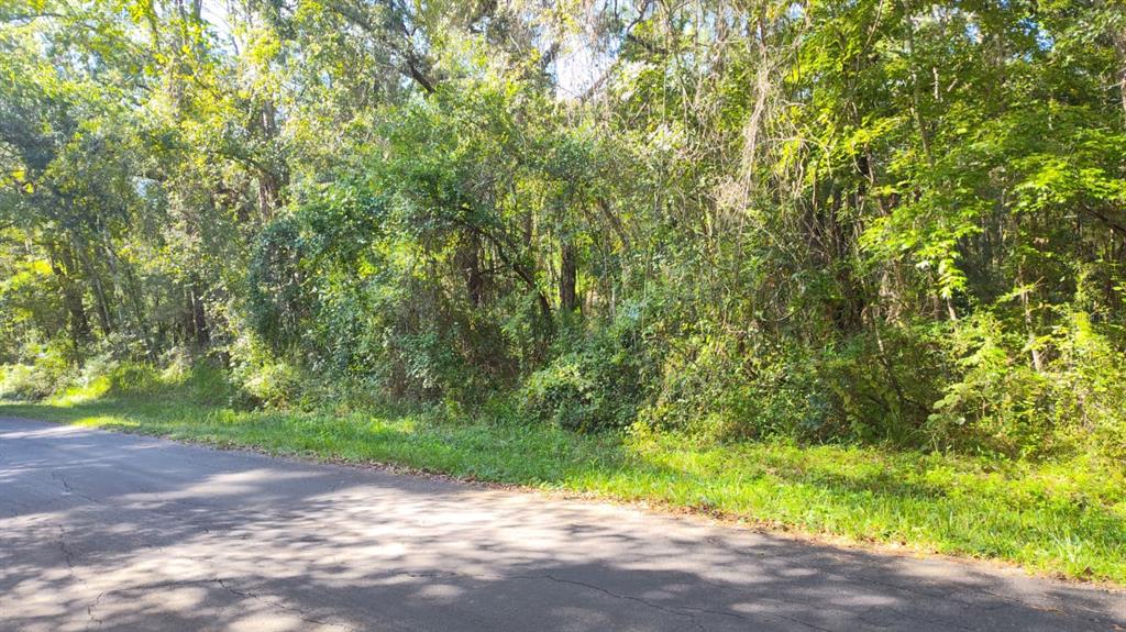 19289 CENTER STREET, BROOKSVILLE, FL — photo 2 of 6