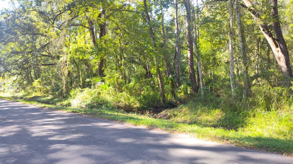 19289 CENTER STREET, BROOKSVILLE, FL — photo 3 of 6