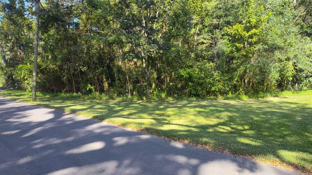 19289 CENTER STREET, BROOKSVILLE, FL — photo 5 of 6