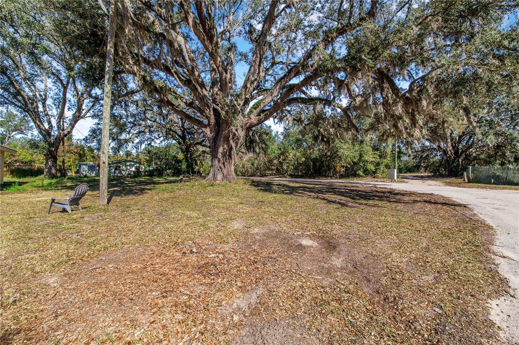 A large oak tree with Spanish moss stands in a grassy lot near a road — FOUSE AVENUE, DUNDEE, FL