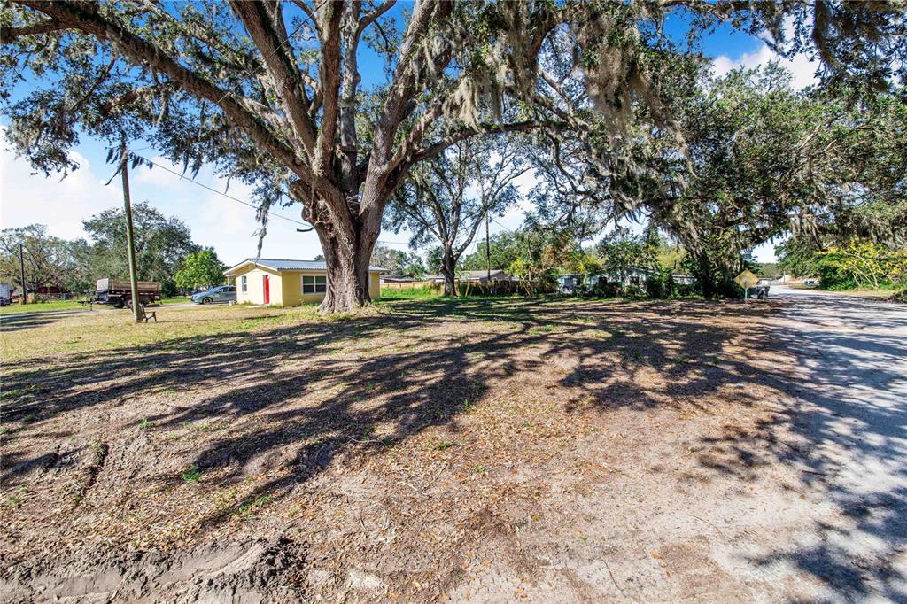 A large oak tree stands in a grassy yard next to a small yellow house — FOUSE AVENUE, DUNDEE, FL