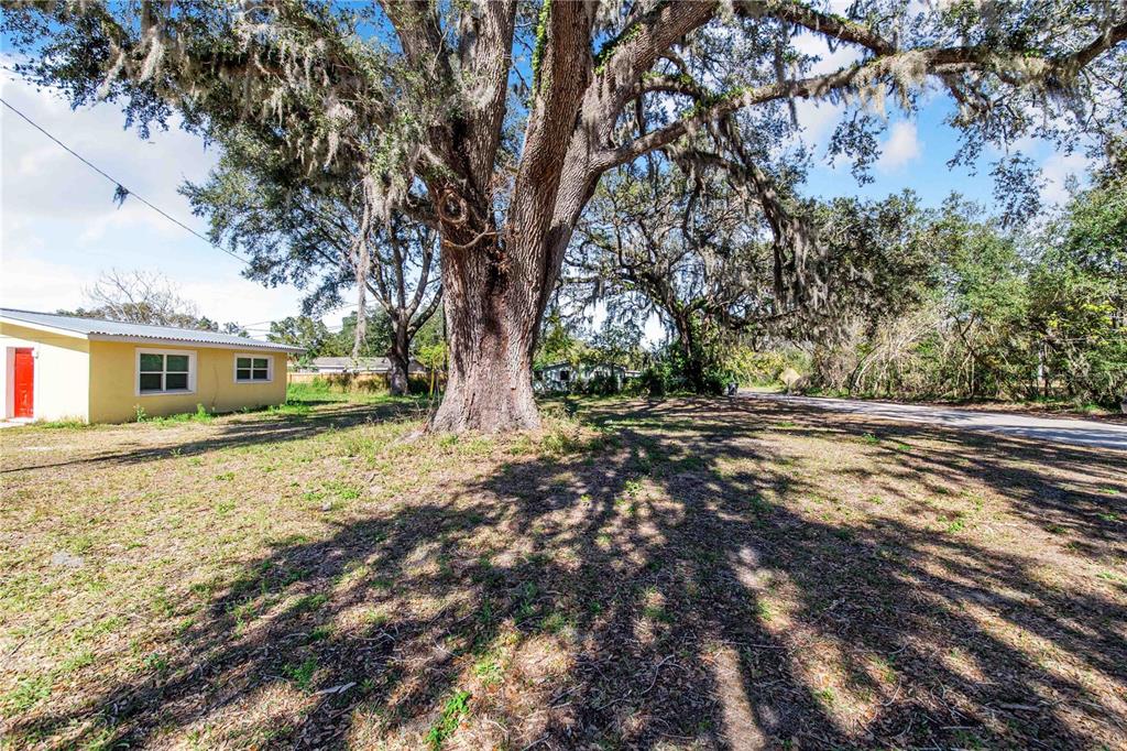 A large oak tree stands in a grassy yard next to a yellow house — FOUSE AVENUE, DUNDEE, FL