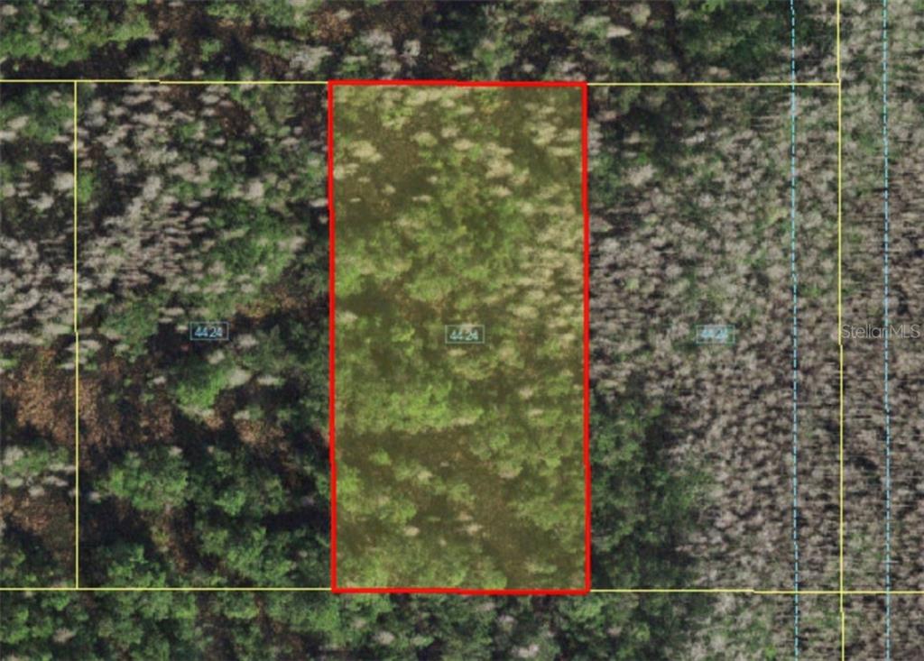 An aerial view shows a rectangular plot of land outlined in red amidst wooded terrain — HOLOPAW GROVES ROAD, ST CLOUD, FL
