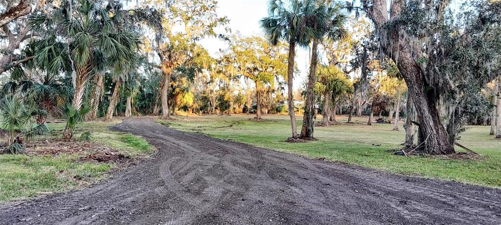 A dirt driveway curves through a grassy lot filled with palm and oak trees — 11105 WINN ROAD, RIVERVIEW, FL