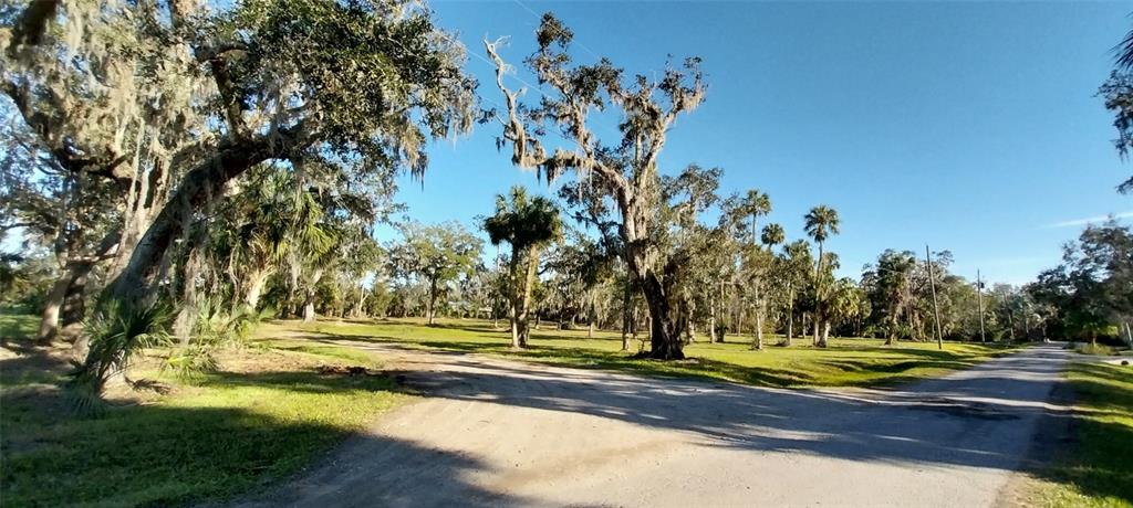 A dirt road winds through a grassy, tree-filled lot with scattered palm and oak trees — 11105 WINN ROAD, RIVERVIEW, FL