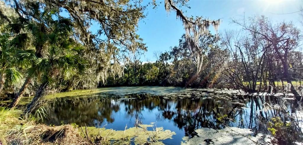 A pond surrounded by trees with Spanish moss under a bright blue sky — 11105 WINN ROAD, RIVERVIEW, FL
