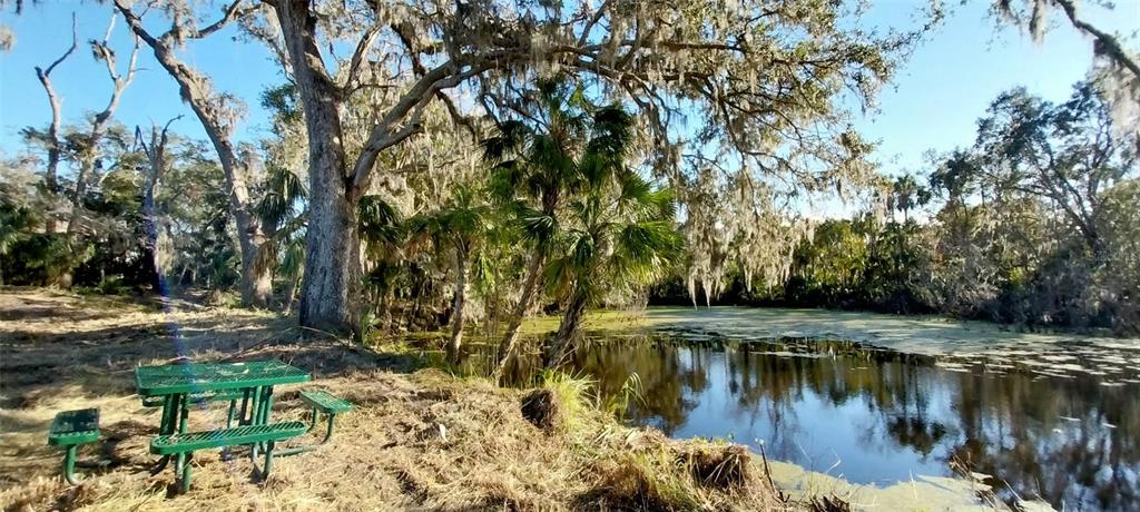 A green metal picnic table sits on a grassy bank beside a calm, tree-lined pond — 11105 WINN ROAD, RIVERVIEW, FL