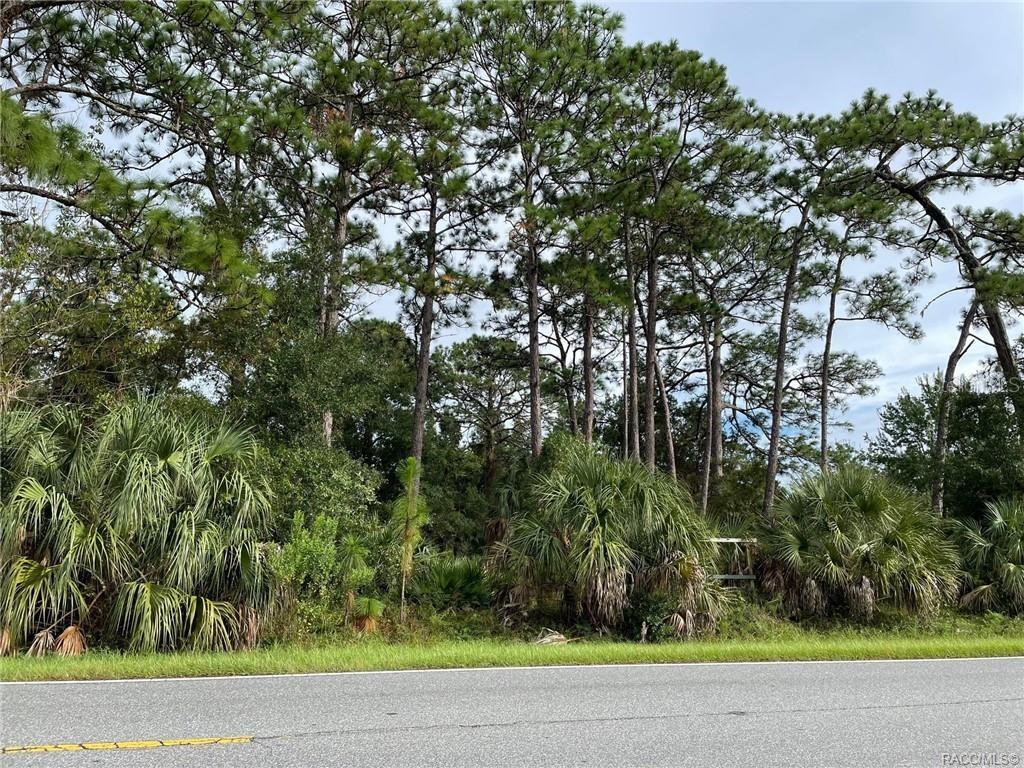 A paved road runs in front of a wooded lot with pine trees and palmettos — 7860 W HOMOSASSA TRAIL, HOMOSASSA, FL