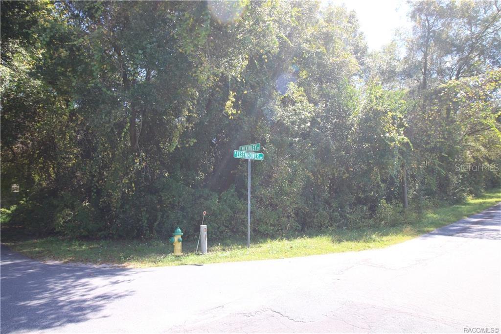 A street sign at the corner of McKinley Street and Eisenhower Avenue near a fire hydrant — 1012 E MCKINLEY STREET, HERNANDO, FL