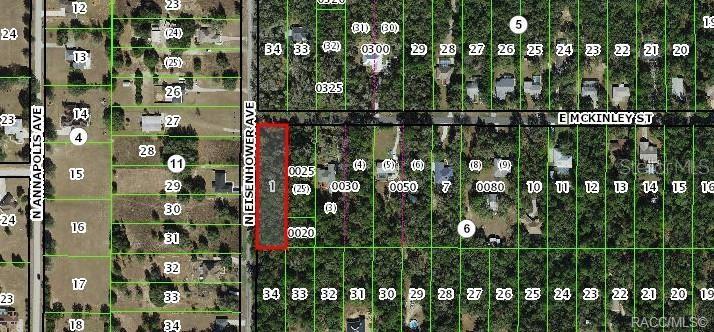 This is a map showing a rectangular parcel of land highlighted in red — 1012 E MCKINLEY STREET, HERNANDO, FL
