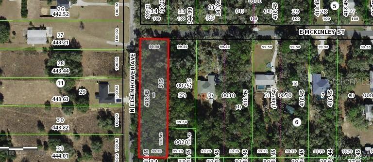 This is a satellite map view showing a rectangular vacant lot highlighted in red — 1012 E MCKINLEY STREET, HERNANDO, FL