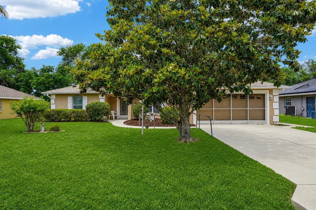 A tan single-story house with a two-car garage, concrete driveway, and a large magnolia tree — 86 BAHIA TRACE TRAIL, OCALA, FL