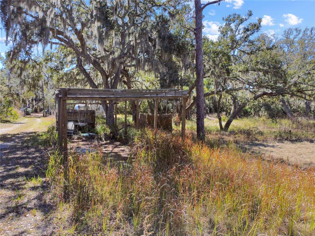 A grassy, wooded lot features large oak trees draped in Spanish moss and a small structure — 12111 FRED DRIVE, RIVERVIEW, FL