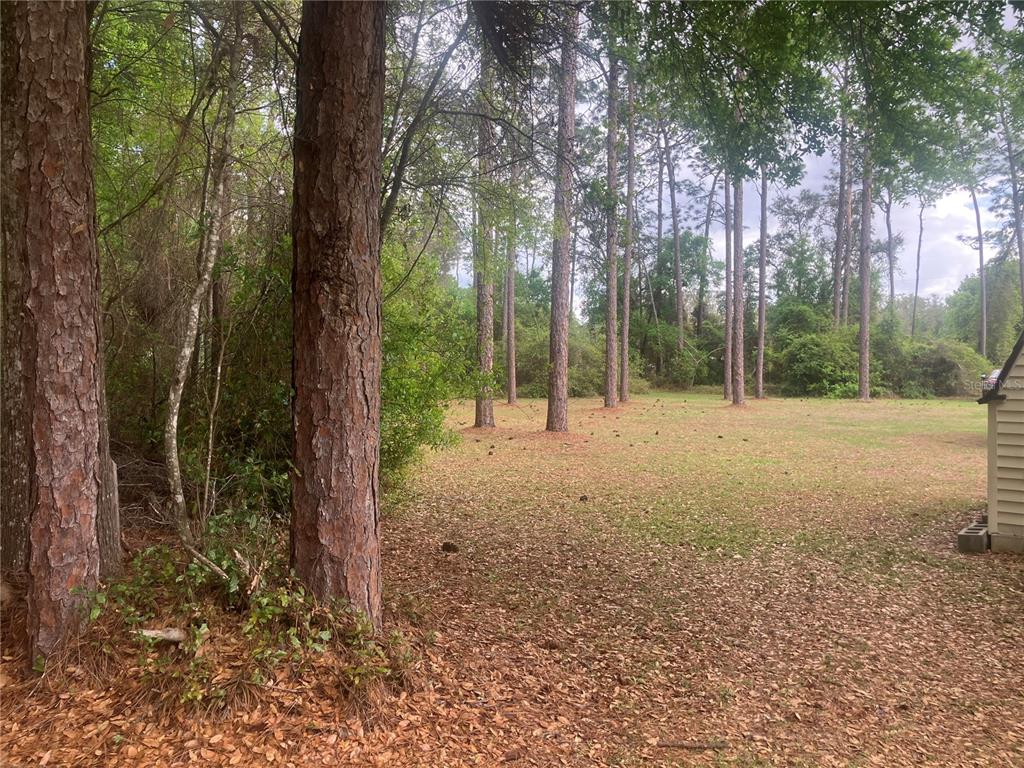 SE 19TH PL, SILVER SPRINGS, FL — photo 2 of 11