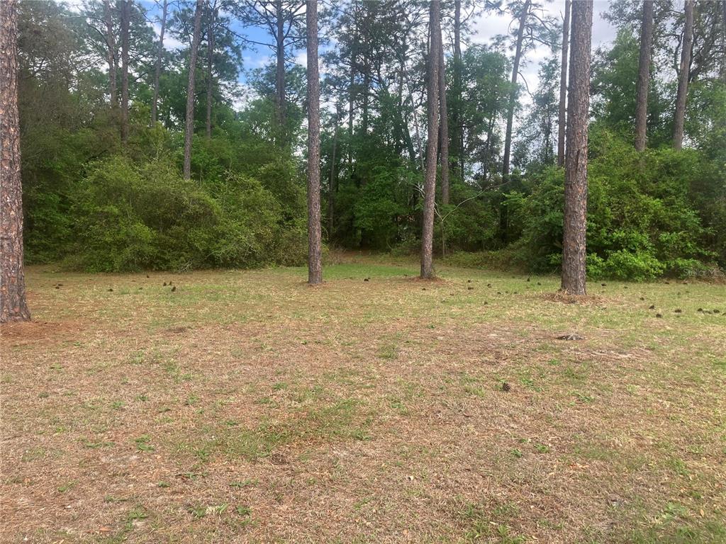 SE 19TH PL, SILVER SPRINGS, FL — photo 3 of 11