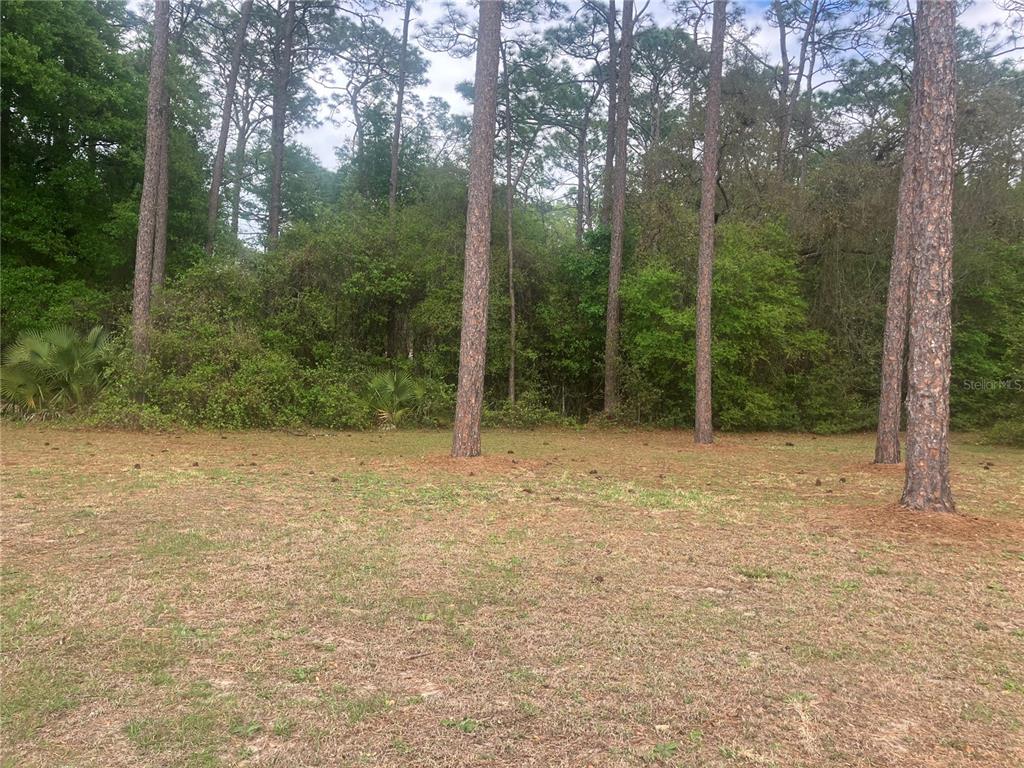 SE 19TH PL, SILVER SPRINGS, FL — photo 4 of 11