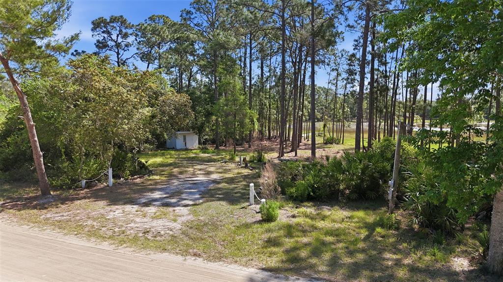 A dirt driveway leads toward a small white shed nestled among trees near a lake — TBD HOLLY BRANCH ROAD, EUSTIS, FL