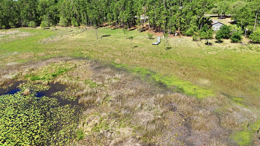 An aerial view shows a pond with lily pads bordering a grassy field and trees — TBD HOLLY BRANCH ROAD, EUSTIS, FL
