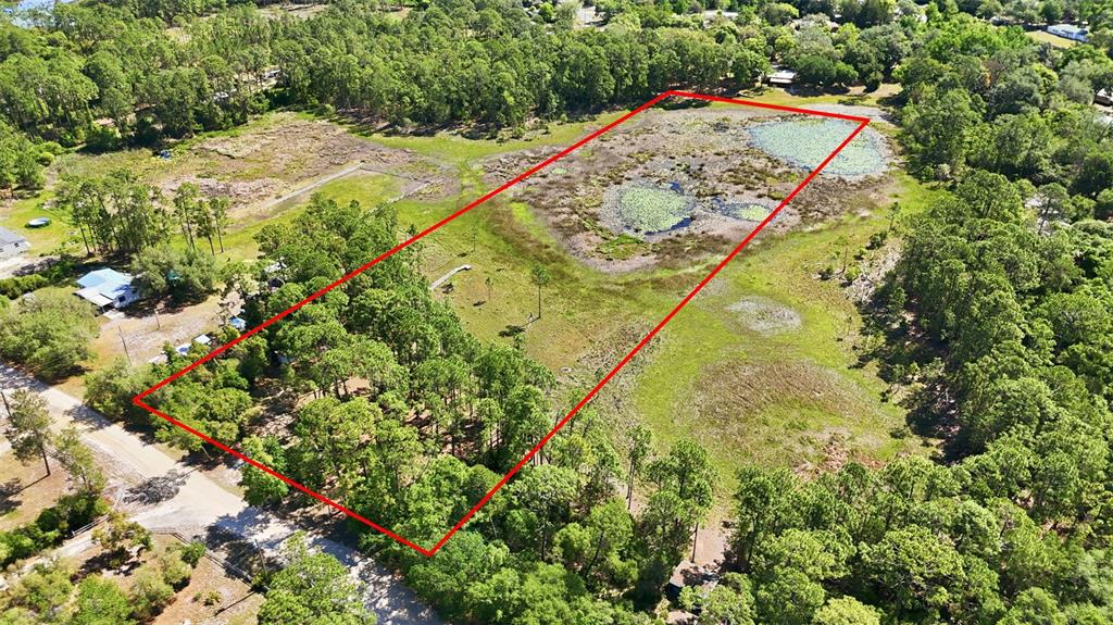 An aerial view shows a rectangular plot of land featuring trees and a small pond — TBD HOLLY BRANCH ROAD, EUSTIS, FL
