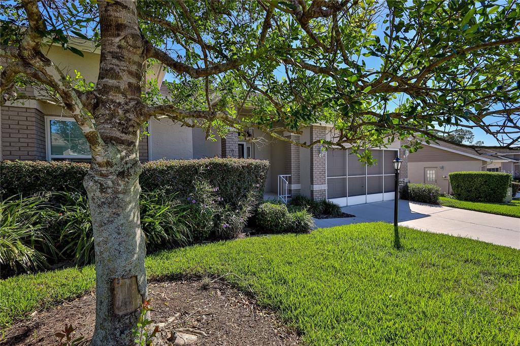 2427 HIDDEN TRAIL DRIVE, SPRING HILL, FL — photo 3 of 58