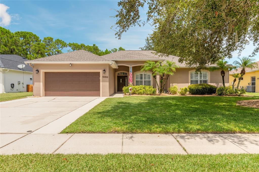 5482 TRAKIA TRAIL