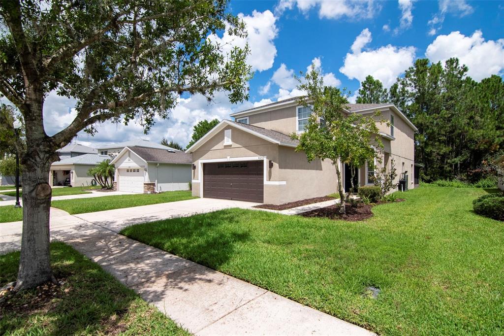 4250 WARWICK HILLS DRIVE, WESLEY CHAPEL, FL — photo 2 of 30