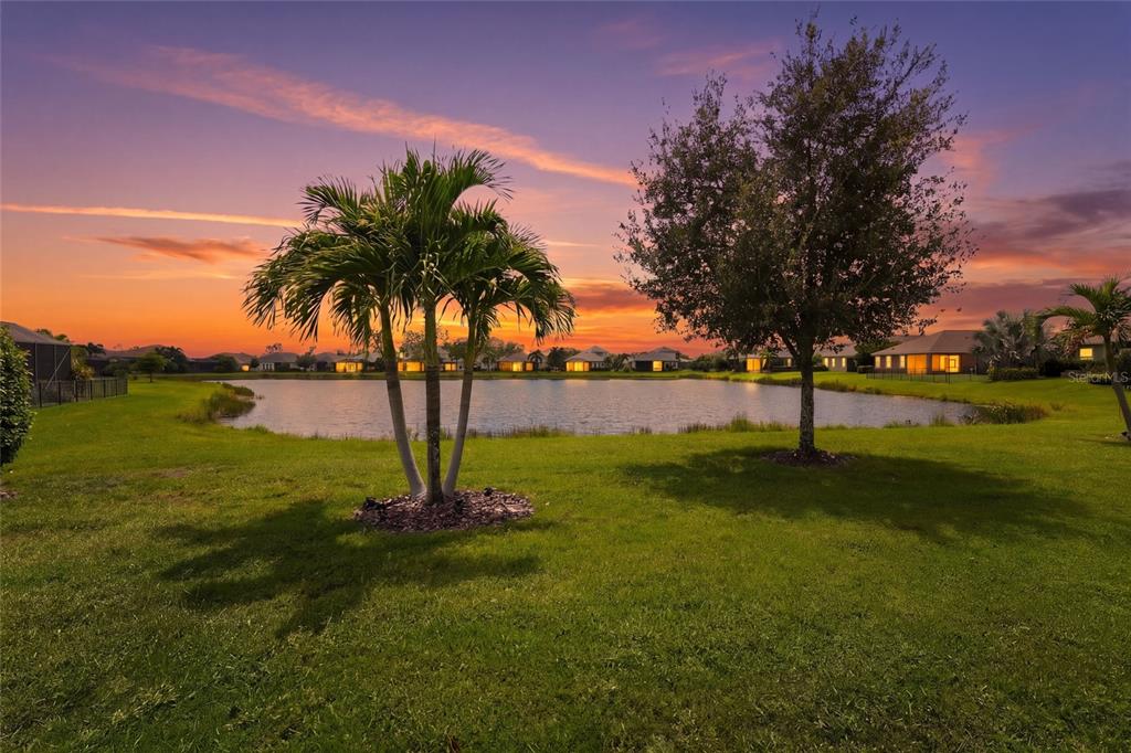 A grassy lawn with two trees overlooks a pond surrounded by houses at sunset — 5353 BENTGRASS WAY, LAKEWOOD RANCH, FL