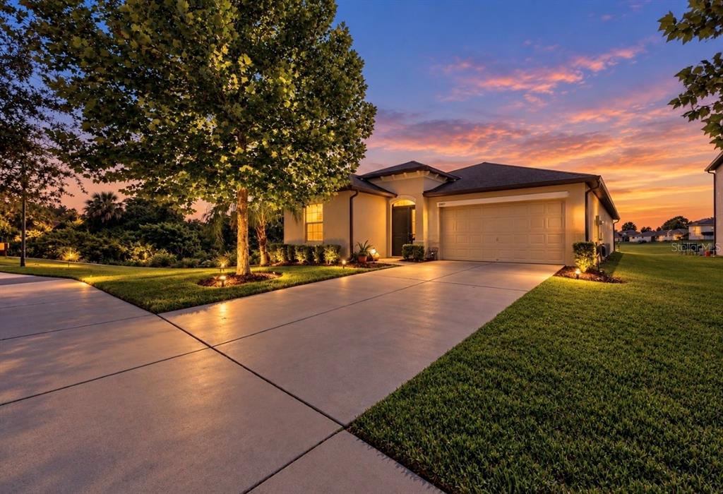 10017 CARAWAY SPICE AVENUE