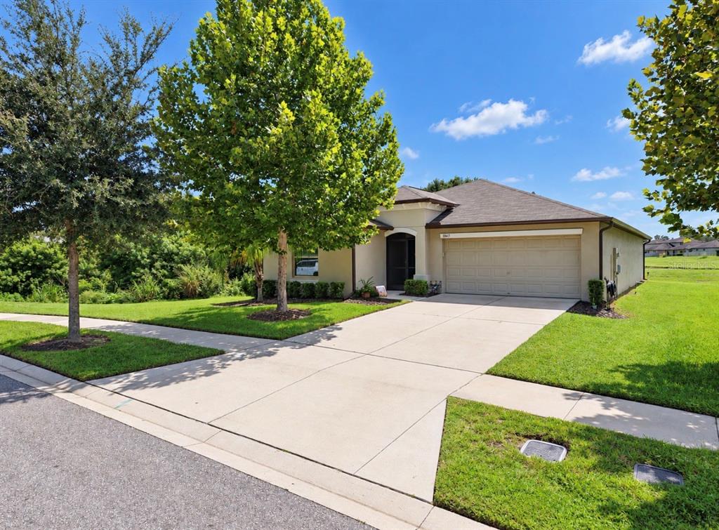 10017 CARAWAY SPICE AVENUE, RIVERVIEW, FL — photo 2 of 30