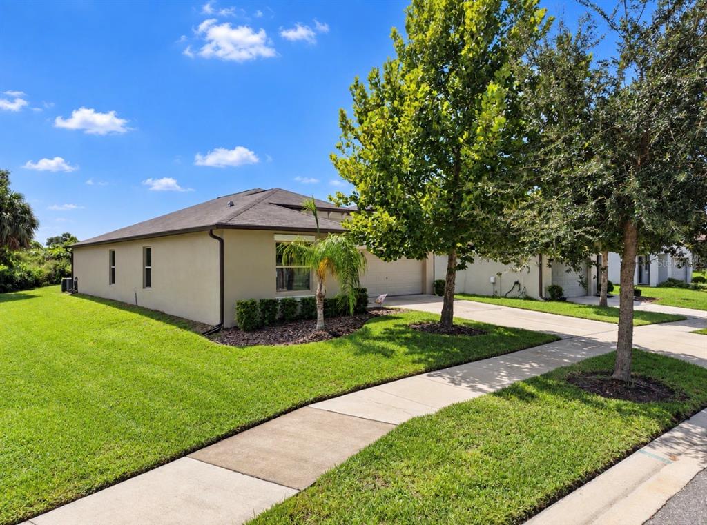 10017 CARAWAY SPICE AVENUE, RIVERVIEW, FL — photo 5 of 30