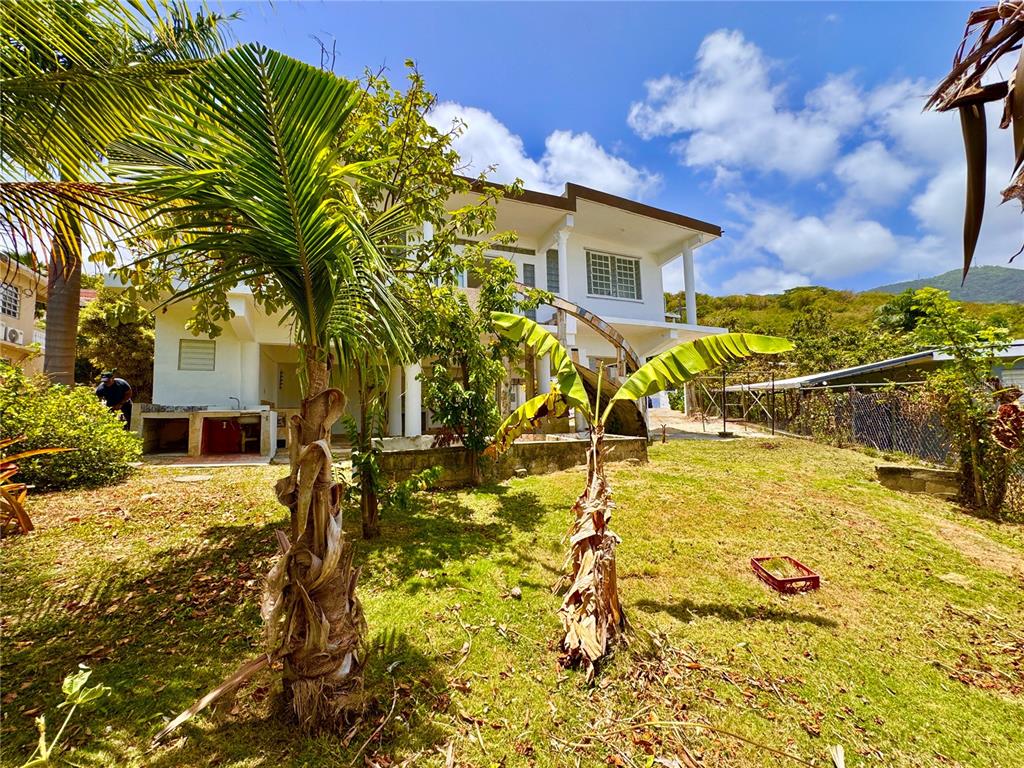 A two-story white house with a backyard, palm trees, and an outdoor kitchen area — 901 Mariani BO. EMAJAGÜAS, SECT MARIANI, MAUNABO, PR