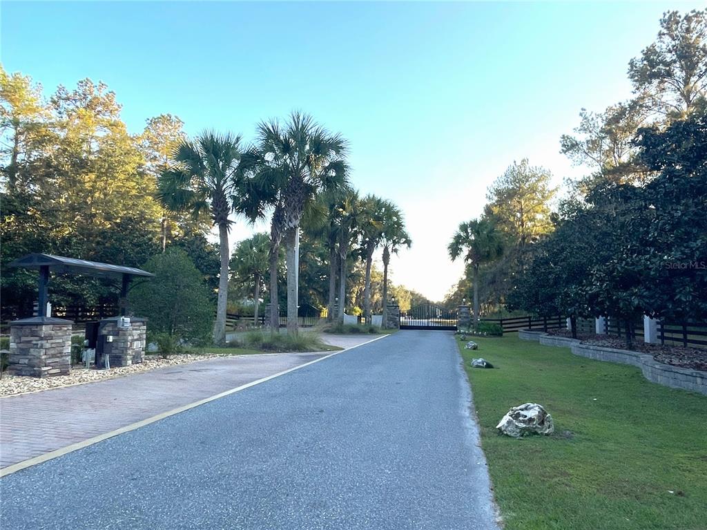 A paved driveway leads toward a gated entrance lined with palm trees and landscaping — NW 145TH AVE LOT 25, WILLISTON, FL