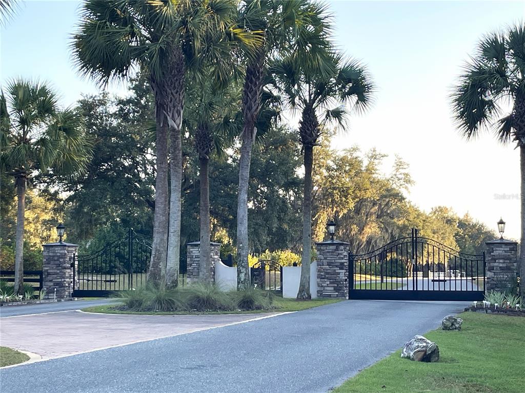 A paved driveway leads to a gated entrance flanked by stone pillars and palm trees — NW 145TH AVE LOT 25, WILLISTON, FL