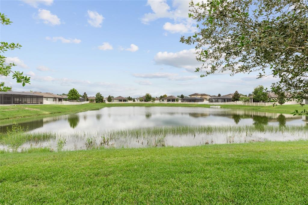 12386 CRIOLLO ROAD, SPRING HILL, FL — photo 2 of 30