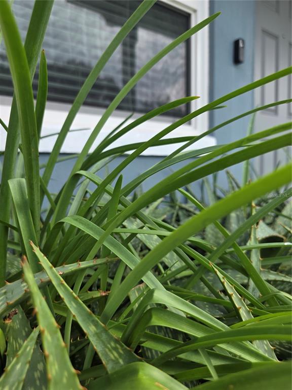 1535 URBANA AVENUE, DELTONA, FL — photo 4 of 30
